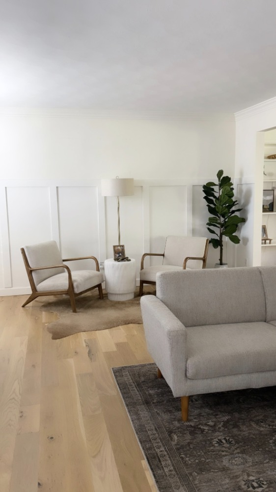 Light home cleaning service